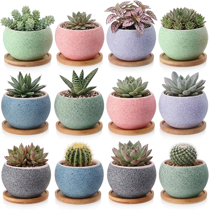 Thenshop 12 Pcs Small Succulent Pots Set with Drainage 3 Inch Plant Pots Ceramic Succulent Planters with Bamboo Saucers 6 Colors Small Planters for Cactus, Herbs, Mini Plants