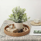 ALAGIRLS 2 Pack Small Fake Plants, 10" Artificial Eucalyptus Plants Indoor, Small Faux Plants in Pulp Pot for Bathroom Bedroom Kitchen Office Living Room Decor