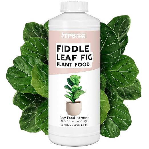Fiddle Leaf Fig Plant Fertilizer – Liquid Plant Food for Bigger Leaves, Stronger Roots & Healthy New Growth, 32 oz