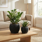 Plant Pots, Modern 3D Printed Honeycomb Planters for Indoor Plants, 4.7/6 Inch Matte Black Decorative Flower Pot for Office Desktop, Bookshelf & Home Decor, Lightweight & Durable.