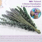 70 PCS Dried Eucalyptus Stems with Lavender Flowers Bundle for Shower, 17'' Natural Real Live Eucalyptus Leaves Branches Hanging Shower Plant for SPA Home Fragrance Bathroom Table Vase Decor