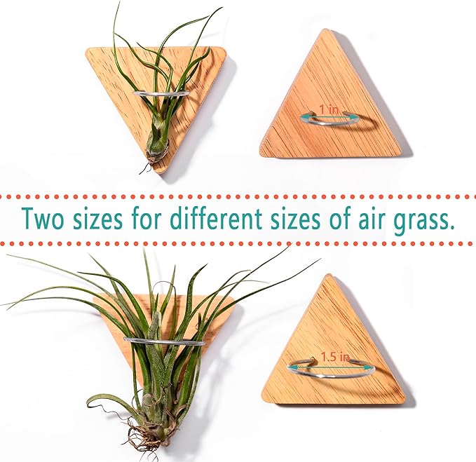 MITIME Air Plants Holders-Real Wood Live Air Plant Holders.Rustic Air Plant Stand,Wall-mounted to save space.(Plants not included)( Triangle Set of 6