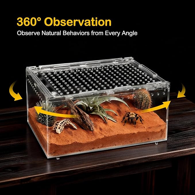 Small Reptile Terrarium Kit,Escape Proof Tarantula Enclosure,PC Starter Hermit Crab Tank,Spider Habitat for Praying Mantis Cage,Frog Vivarium,Insect House,Jumping Spider Cribs,Lizard Container