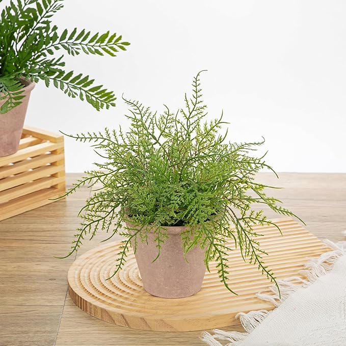 Artificial Fern Potted Plant, 9" Small Fake Plants in Pot, Faux Lace Fern Plant Greenery for Home Office Farmhouse Living Room Bathroom Kitchen Tabletop Desk Shelf Decoration