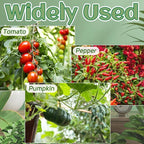 OJYUDD 400 Pcs White Plant Support Garden Clips,Plastic Tomato Vine Clips,Secured Climbing Plant Clip for Flower Vine Grape Twine Orchid