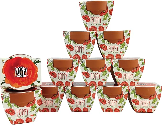 BUZZY Seeds 12-Pack Poppy Grow Kit – Mini Terracotta Pots with Poppy Seeds and Growing Medium – Bulk Gardening Gifts, Wedding Favors, Classroom Activities, and Party Favor Flower Kits