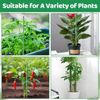 18Pcs Plant Stakes,16inch & 12inch Adjustable Plant Support Stake Plant Sticks for Indoor Outdoor Green Poles with Rings Clips & Ties for Potted Plants Monstera Tomato Orchid Flower