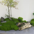 Fake Green Moss for Decorating, 100g/3.5oz Artificial Moss for Aquarium Model Crafts Table Centerpieces Decor (Green, 100g/3.5oz)