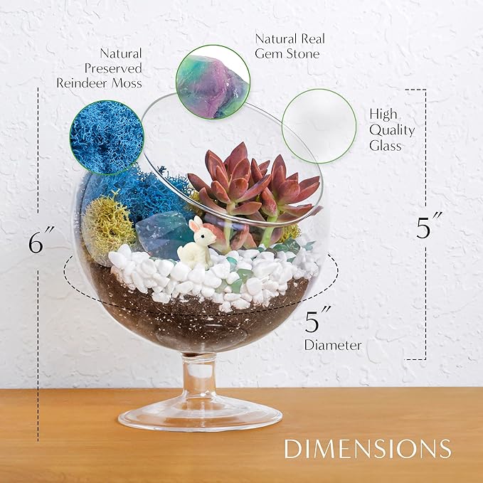 Creations by Nathalie DIY 6" DIY Chalice Terrarium Kit - Build Your Own Glass Terrarium for Adults & Teens with Moss, Crystals, Tools & Decor - Handcrafted in the USA (Live Plant Included)