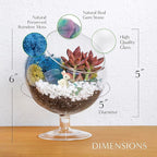 Creations by Nathalie DIY 6" DIY Chalice Terrarium Kit - Build Your Own Glass Terrarium for Adults & Teens with Moss, Crystals, Tools & Decorative Figurine - Mini Ecosystem (Plant Not Included)