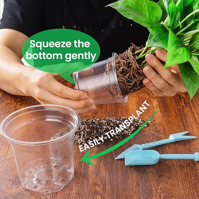 Bluepro 30 Packs 7/5/4 Inch Reinforced Clear Nursery Pots with Drainage Hole, Transparent Variety Pack Plastic Plant Pot Seedling Planter for Vegetable Propagation, Root Cutting, Seed Starting