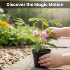 Zombie Plant Greenhouse Grow Kit – Touch It and Watch It Play Dead – Fun Indoor Plant that Revives in Minutes – Unique Gift for Dad, Men and Grandparents