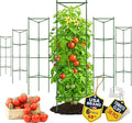 68" Tomato Cage - Trellis Stakes and Plant Support Structures for Vegetables and Climbing Plants - Tall Tomato Cages for Garden, Pots, Raised Garden Bed Outdoor (6 Pack - Extra Tall)