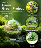 Real Live Hypnum Moss (8"x8") – Natural Sheet Moss for Terrariums, Bonsai, Reptile Habitats & Fairy Gardens – Reusable, Easy to Shape & Revives Quickly with Mist
