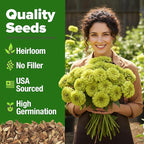 HOME GROWN Envy Zinnia Seeds (1g) – 4300 Rare Lime Green Annual Zinnia Flower Seeds for Planting, Fast-Growing Bulk Variety, Premium Herb Seeds Garden Companion for 2026 Blooms (Zinnia elegans)