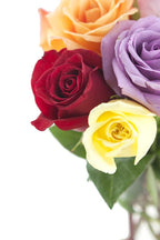 KaBloom PRIME NEXT DAY DELIVERY - Rainbow Roses (Half Dozen) - With Vase .Gift for Birthday, Sympathy, Anniversary, Get Well, Thank You, Valentine, Mother’s Day Fresh Flowers