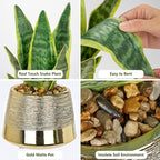 Oairse Artificial Potted Plant, Fake Snake Plant in Gold Pot 16.9 inch Faux Sansevieria Trifasciata Artificial Plants Indoor with Pot for Home Office Living Room Indoor Outdoor Decor