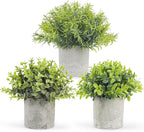 Lemonfilter Fake Plants, 3PCS Small Artificial Plants Indoor in Pots Plastic Eucalyptus Home Plant Desk Greenery Decor, Plastic Small Faux Potted Plant for Bathroom Bedroom Shelves Decor
