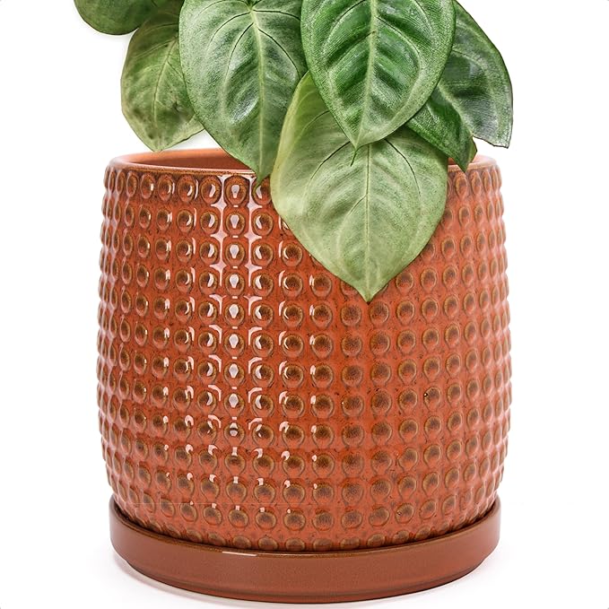 D'vine Dev 10 Inch Ceramic Beaded Stoneware Planter Pot - Flower Pot with Drainage Holes and Saucers for Indoor Succulent Plants or Flowers, Pumpkin, 27-C-P-J