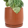 D'vine Dev 10 Inch Ceramic Beaded Stoneware Planter Pot - Flower Pot with Drainage Holes and Saucers for Indoor Succulent Plants or Flowers, Pumpkin, 27-C-P-J