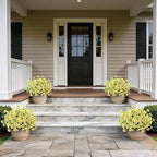 Artificial Morning Glory & Eucalyptus Topiary Trees - Set of 2 Faux Silk Flower Potted Plants, UV-Resistant Fake Outdoor Morning Glory Bushes for Front Door, Yard, Farmhouse, Garden Decor (Yellow)