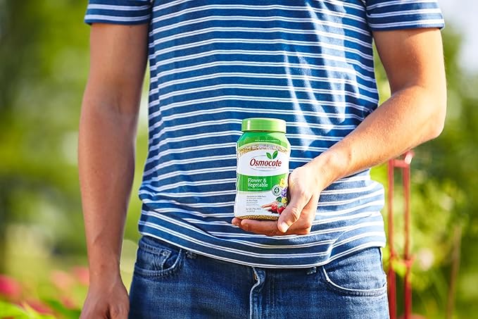 Osmocote Smart-Release Plant Food Flower & Vegetable - Continuous Release Plant Fertilizer for Vegetables and More, 1 lb.