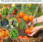 Cucumber Trellis for Raised Garden Bed, Easy-to-Assemble Sturdy Metal Garden Trellis for Climbing Plants – Outdoor Plant Support for Cucumbers, Beans, Zucchini, Tomatoes, Pumpkins & More!