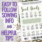 Seed Needs Rosemary & Sage Seeds for Planting Fresh Kitchen Herbs - Non-GMO Heirloom & Untreated Perennial Herb Seed to Plant a Culinary Garden Indoors or Outdoors (2 Pack Duo)