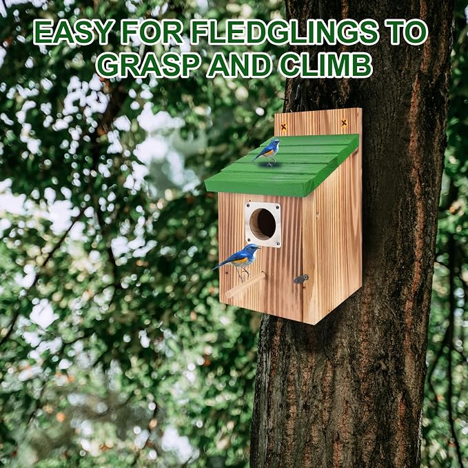 4-Pack Blue Wooden Bird Houses for Outdoors with Predator Guard, Bluebird Houses for Outside – Ideal for Bluebirds & Other Backyard Birds, Green