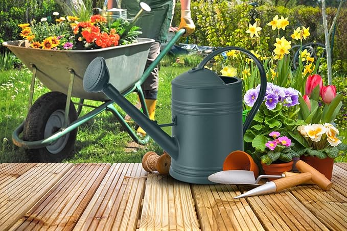 Plastic Watering Can for Indoor Plants Outdoor Garden Flowers - House Plant Watering Can with Sprinkler Head (1/2 Gallon, Green)
