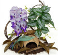 Crested Gecko Terrarium Decor Kit - 5PCS Rainforest Tank Accessories with Coconut Hide, Climbing Vines, Leaf Platform & Artificial Plants - Habitat Enrichment for Humidity & Hiding (Purple)