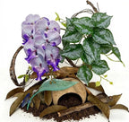 Crested Gecko Terrarium Decor Kit - 5PCS Rainforest Tank Accessories with Coconut Hide, Climbing Vines, Leaf Platform & Artificial Plants - Habitat Enrichment for Humidity & Hiding (Purple)