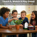 Zombie Plant Party Favors (2) Plays Dead When Touched! Includes Soil, Seeds & Mini Flower Pot. Supplies for Zombie Themed Birthday. Plant it as a Fun Indoor Science Activity