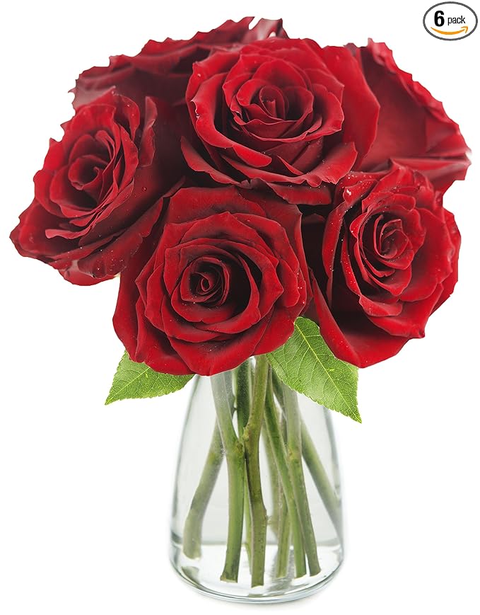 KaBloom - The Romantic Classic Red Rose Bouquet of 6 Fresh Cut Red Roses (Farm-Fresh, Long-Stem) with Vase - Fresh Flowers for Birthday, Valentine's & Mother's Day