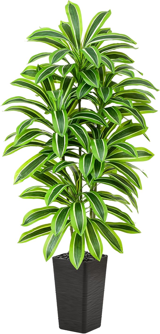 Artificial Dracaena Tree：6FT Faux Silk Tropical Yucca Floor Trees Realistic Fake Green Plant with Natural Wood Trunk & Lifelike Leaves for Home Office Decor Indoor & Outdoor (6FT,1-Pack,Black)