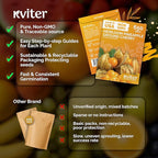 KVITER 650 Aunt Molly Ground Cherry Seeds for Planting (Physalis pruinosa) – Non GMO & Heirloom Pineapple Ground Husk Cherry Tomatoes, Organic Fruit Seeds – Tropical Flavor Berries