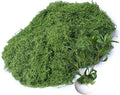 12.7oz Fake Moss Green Moss Faux Plant Artificial Floral Greenery for DIY Crafts Fairy Garden Pot Filler Vase Greenery Decorating Project Indoor Model Making Walls Glass Decor Forlaoers