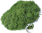 12.7oz Fake Moss Green Moss Faux Plant Artificial Floral Greenery for DIY Crafts Fairy Garden Pot Filler Vase Greenery Decorating Project Indoor Model Making Walls Glass Decor Forlaoers