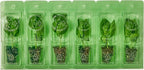 Bonnie Plants Sweet Basil Plug, Live Plant, for Salads, Drinks, Asian and Italian Dishes, Full Sun, 3 Cubic in., 6 Pack