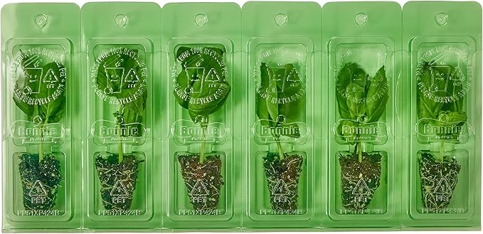 Bonnie Plants Sweet Basil Plug, Live Plant, for Salads, Drinks, Asian and Italian Dishes, Full Sun, 3 Cubic in., 6 Pack