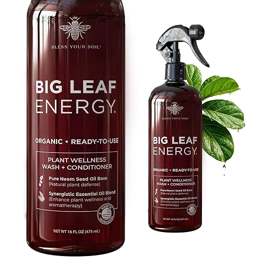 Neem Oil Spray for Plants – Big Leaf Energy, with Essential Oils – Ready-to-Use Plant Spray for Outdoor & Indoor Plants, Made in USA (16 fl oz)
