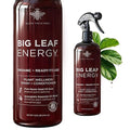 Neem Oil Spray for Plants – Big Leaf Energy, with Essential Oils – Ready-to-Use Plant Spray for Outdoor & Indoor Plants, Made in USA (16 fl oz)