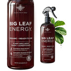 Neem Oil Spray for Plants – Big Leaf Energy, with Essential Oils – Ready-to-Use Plant Spray for Outdoor & Indoor Plants, Made in USA (16 fl oz)