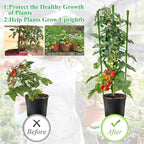 Legigo 4 Pack 24 Inch Plant Support Cages Tomato Cage for Garden- Plant Cages Adjustable Rings, Tomato Plant Support Stakes Trellis for Pots, Peppers, Cucumbers and Flowers with 10 Plant Clips