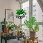 Plant Hanger, 2pcs Metal Hanging Plant Shelf Decorative Planter Flower Pots Holder for Indoor Outdoor, Modern Plant Hanging Basket for Balcony Porch Garden Home Decor, Black