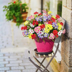 LikSoor Outdoors Artificial Flowers Spring Summer Decor Fake Petunias UV Resistant Flower Faux 12 Bundles Realistic Plastic Plant Porch Patio Window Box Garden Decoration (Mix Color)