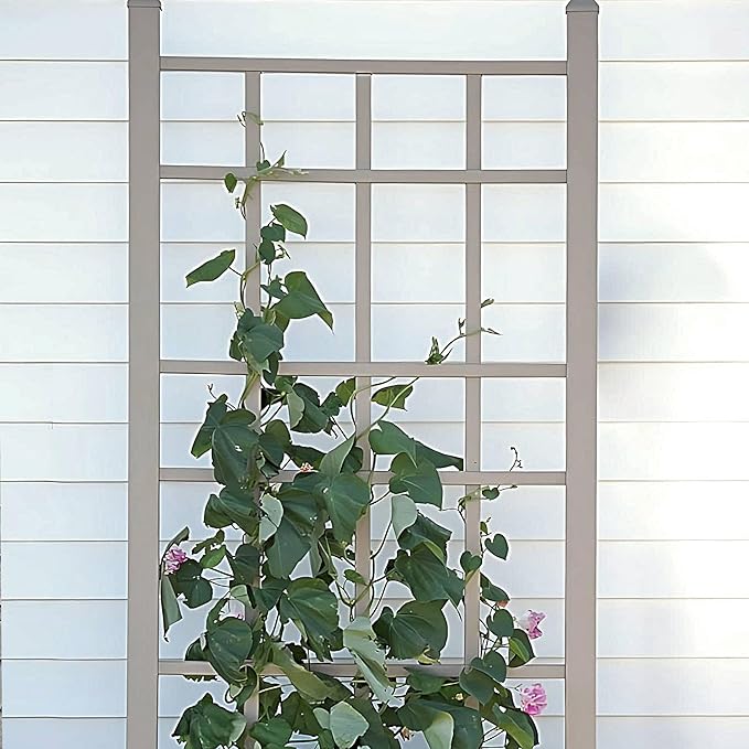Dura-Trel Cottage 28 by 66 Inch Heavy Duty Weather Stabilized PVC Vinyl Outdoor Garden Patio Trellis with Ground Anchors, Mocha