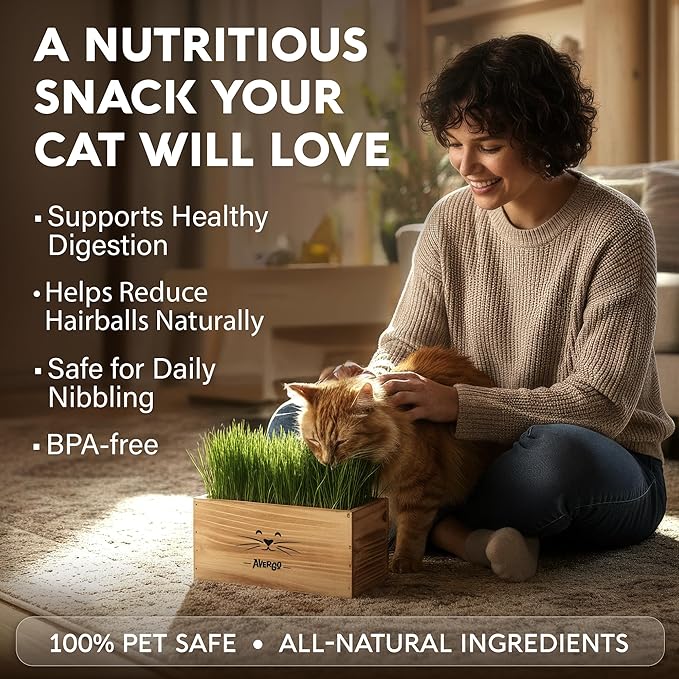 Cat Grass Kit for Indoor Cats – x4 Seed Packets | Cat Grass Seeds with Wooden Planter, Soil & Mini Gardening Tools for Nipping & Nibbling – Pet Wheatgrass Grass