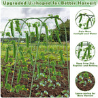 Cucumber Trellis for Raised Bed, Garden Arch Trellis for Climbing Plants Outdoor, Metal Garden Trellis for Spring Vegetables, Cucumber Trellis for Spring Tomato, Bean, Pea, Grape, Plant
