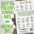 Seed Needs Wildflower Seeds Butterfly and Hummingbird Seed Mix 2 Ounce No Filler | 23 Varieties Annual & Perennial Species Such as Butterfly Milkweed, Cosmos & Zinnia | Resealable Bulk Package